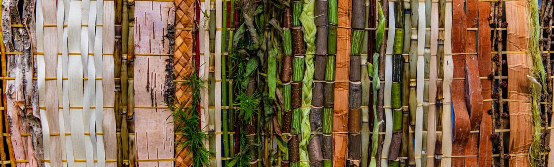 AdobeStock_318731154