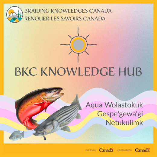 KH7-Aqua Wolastokuk (10)