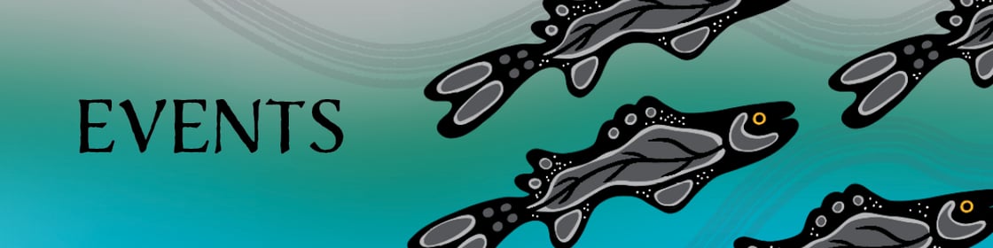 newsletter banners4