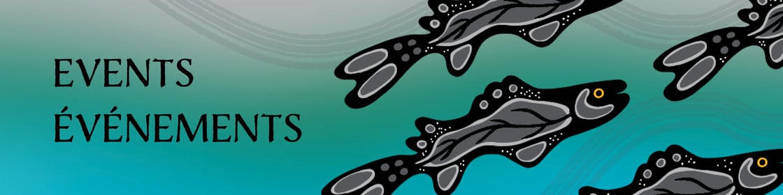 newsletter banners_biligual2-1